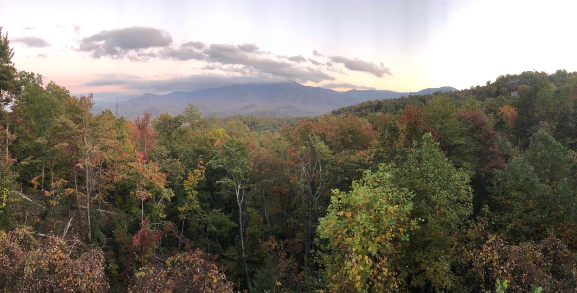 Heavenly View - Bear Themed Cabin, Hottub, Dog-Friendly, Near Gatlinburg Luaran gambar