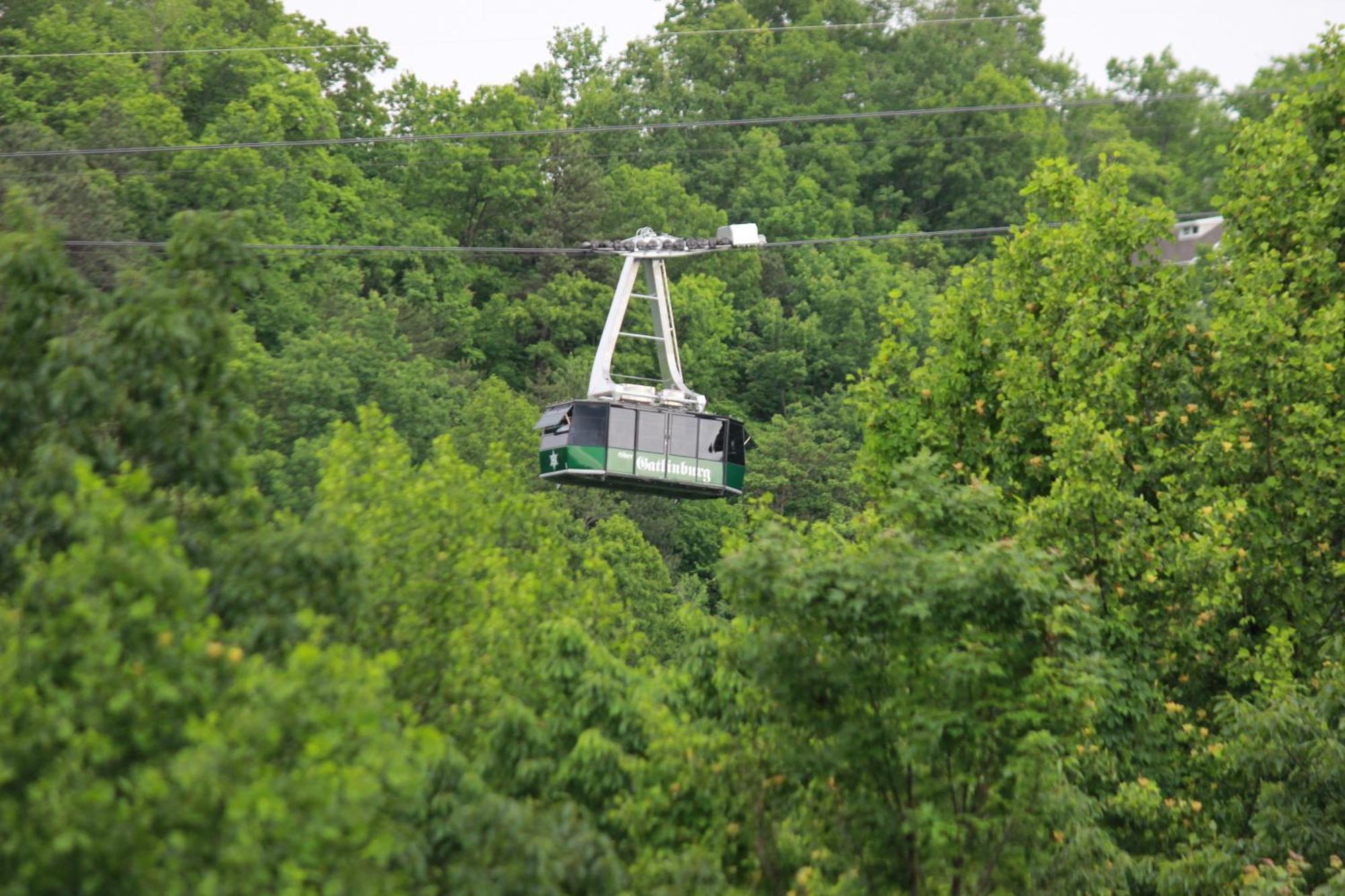 Heavenly View - Bear Themed Cabin, Hottub, Dog-Friendly, Near Gatlinburg Luaran gambar